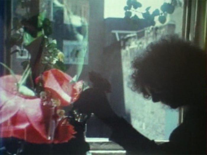 As I Was Moving Ahead Occasionally I Saw Brief Glimpses of Beauty (Jonas Mekas, 2000)